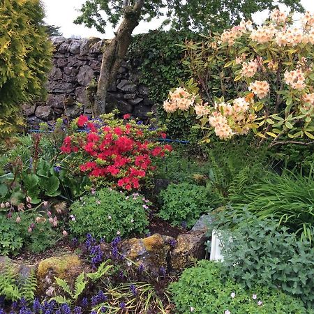 Meadowbank Guest House ポートリー エクステリア 写真